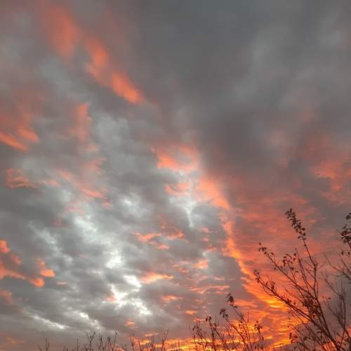Photo #8881989