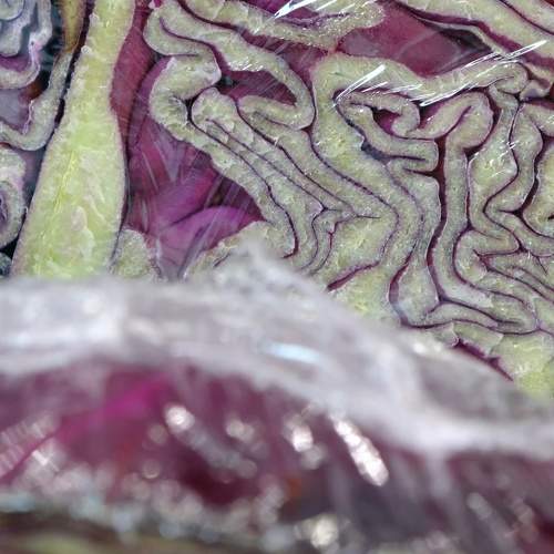 Photo #8882127