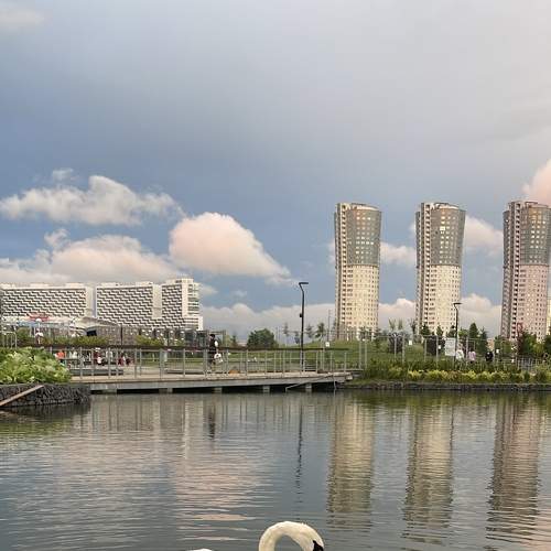 Photo #8882208