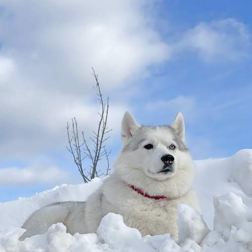 Photo #8882229