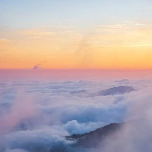 Photo #8882357
