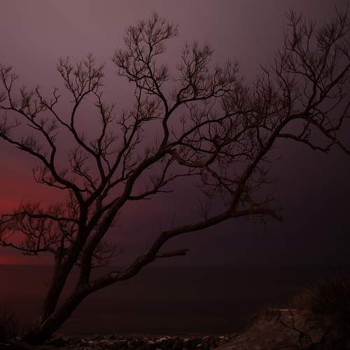 Photo #8882399