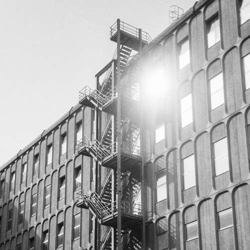 Photo #8882613
