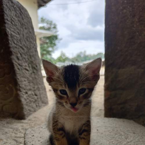 Photo #8882822