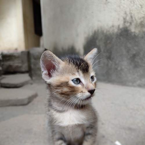 Photo #8882823