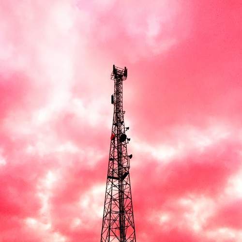 Photo #8882949