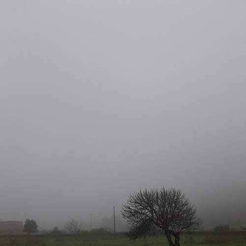 Photo #8883014