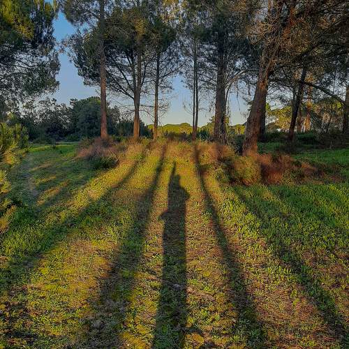 Photo #8883041