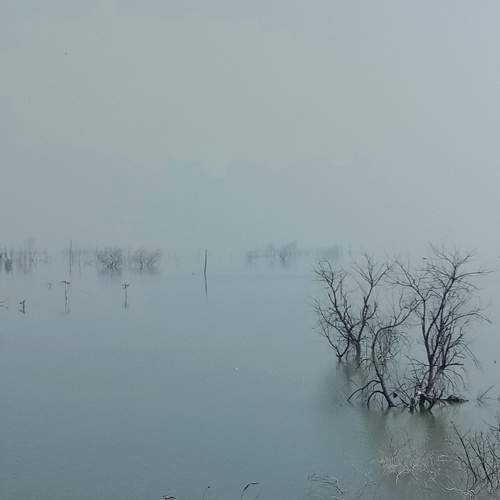 Wandering by the Waterside