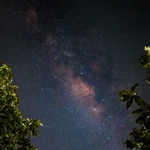 Photo #8883686