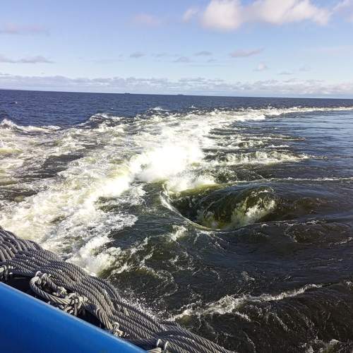 Photo #8883775