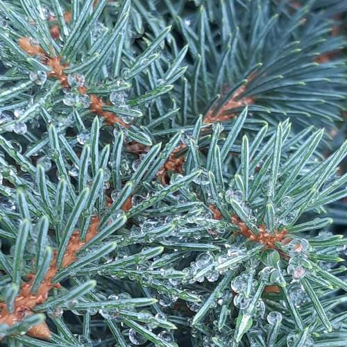 Photo #8883969