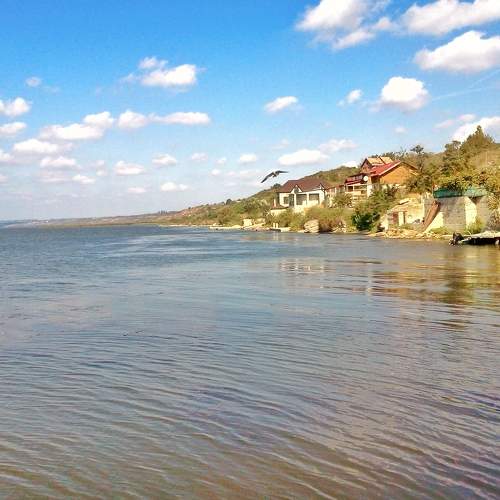 Photo #8884413