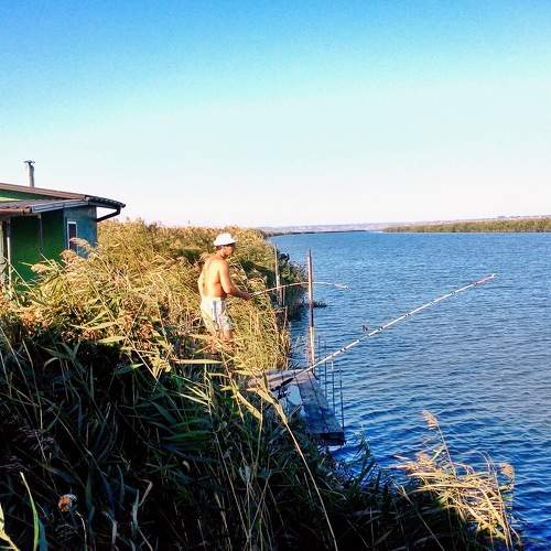 Photo #8884414