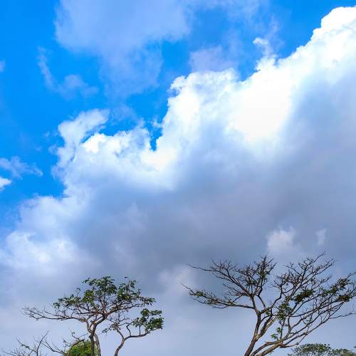 Photo #8884811