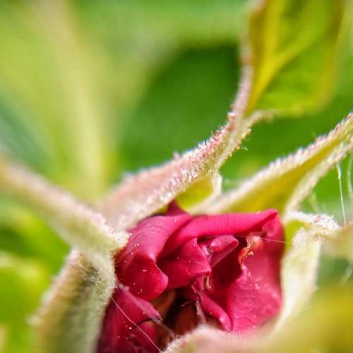 Photo #8884901