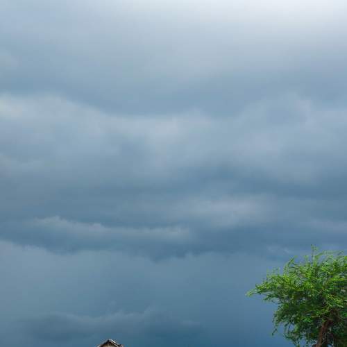 Photo #8884927