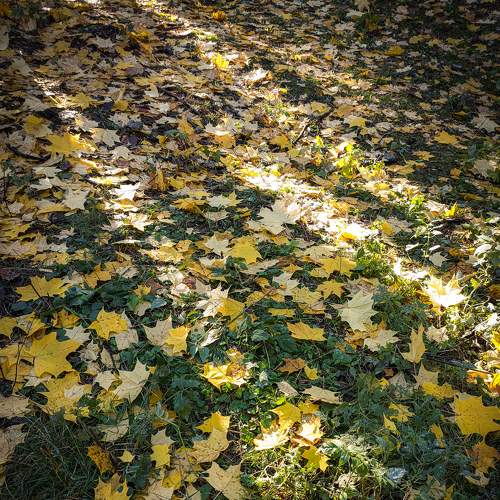 Photo #8885008