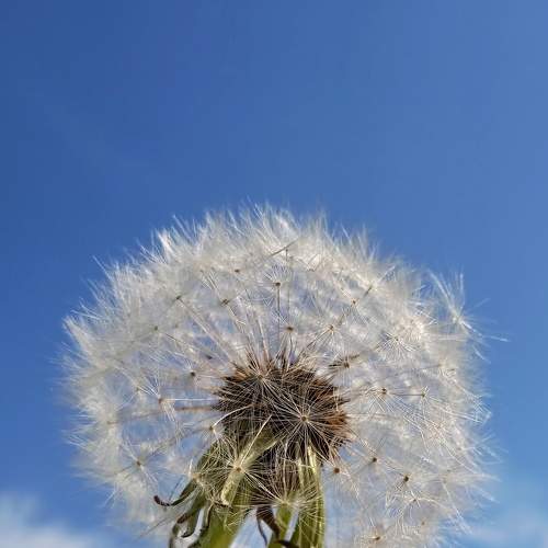 Photo #8885246