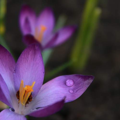 Photo #8885316