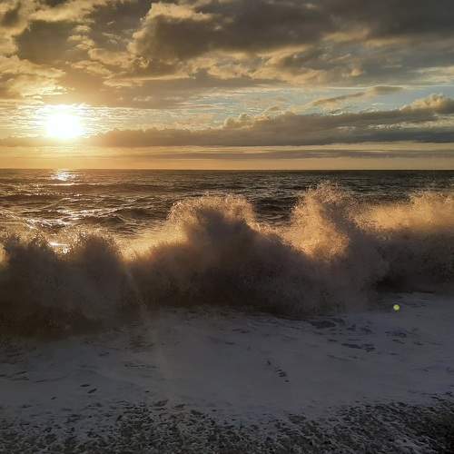Photo #8885456