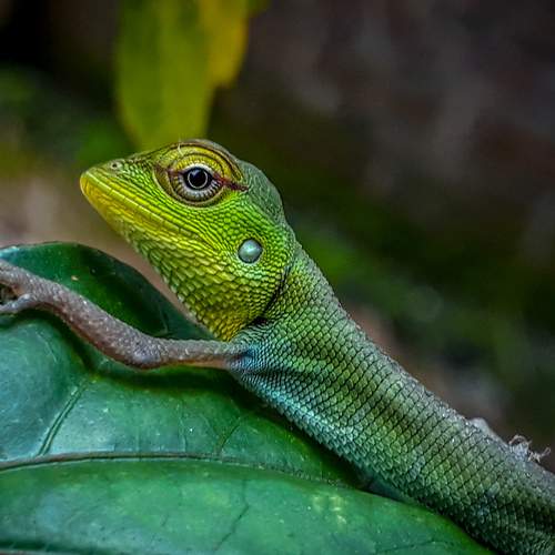 Photo #8885534