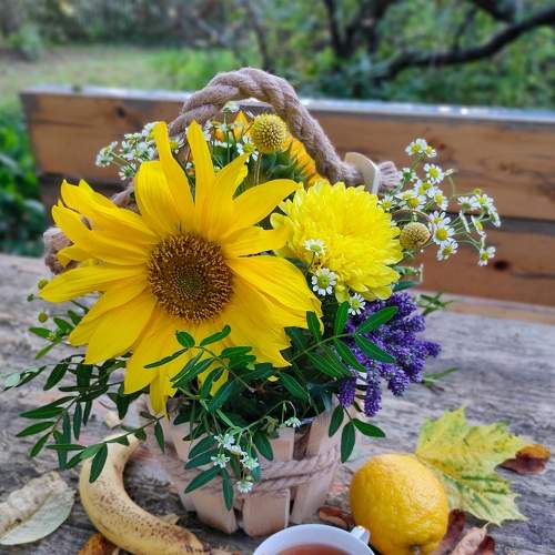 Photo #8885709
