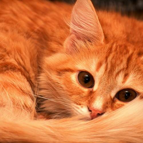 Photo #8885713