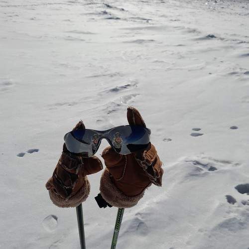 Photo #8885718