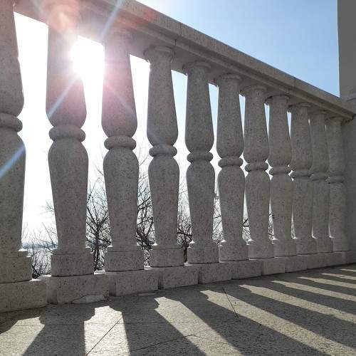 Photo #8885728