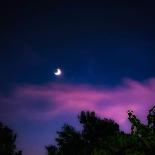 Photo #8886706