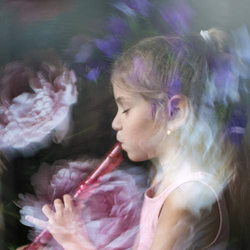Photo #8886921