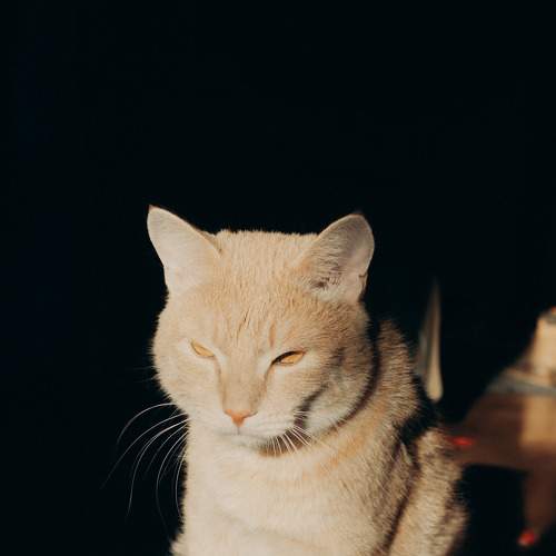 Photo #8886992