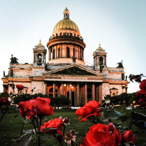 Цветы (Flowers)
