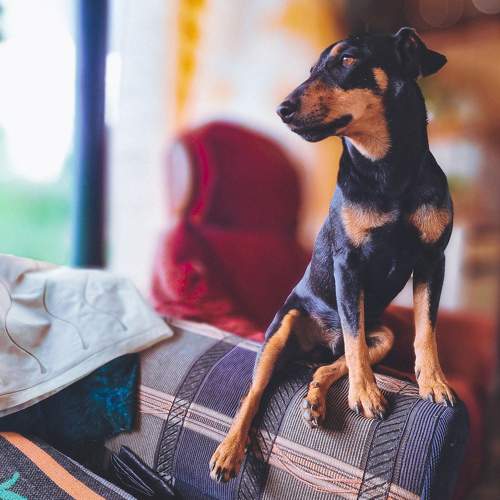 Photo #8887196