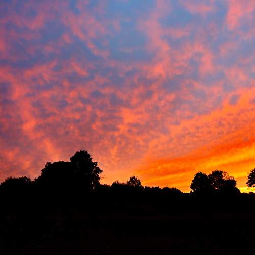 Photo #8887264