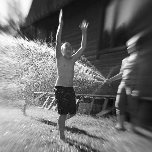 Photo #8888208