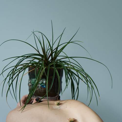 Photo #8888532