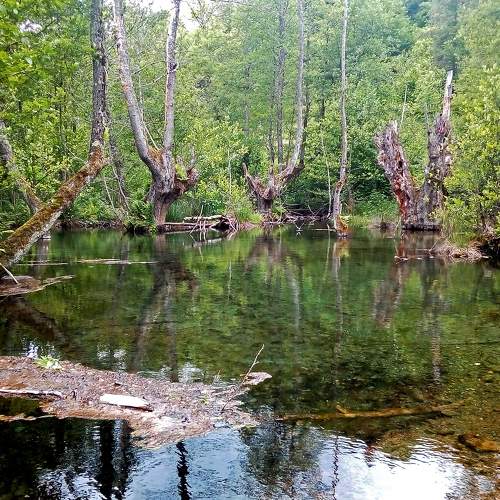 Photo #8888620
