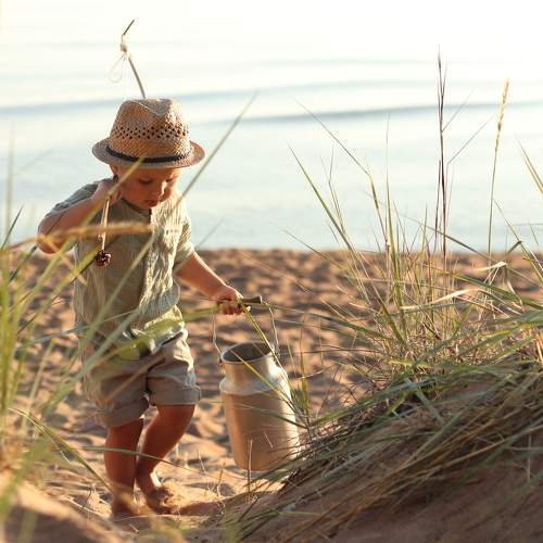 Photo #8889355