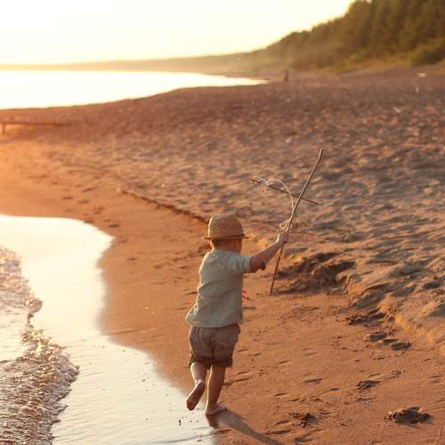 Photo #8889370