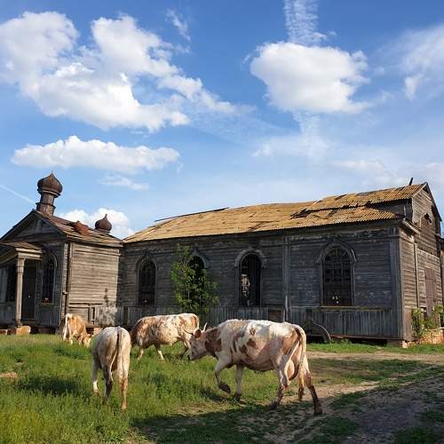 Photo #8889372