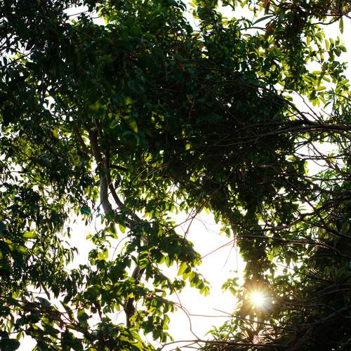 Nacimiento de la naturaleza