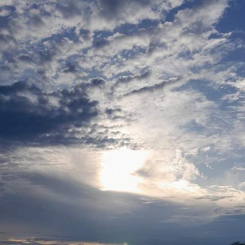 Photo #8890312