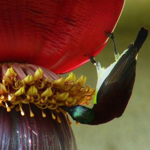 Photo #8890645