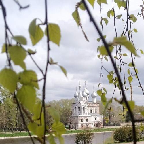 Photo #8890835