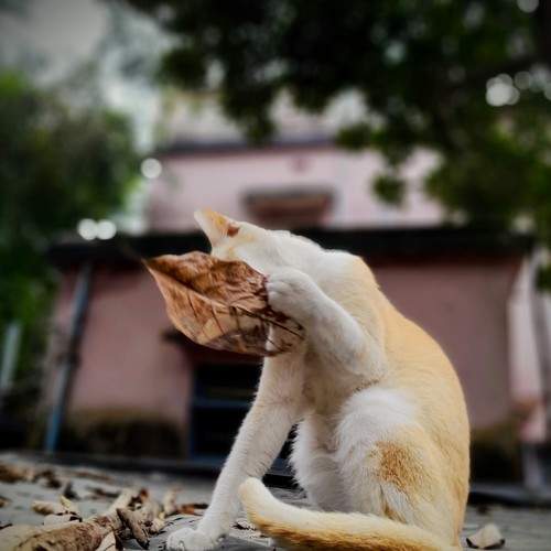 No photo please