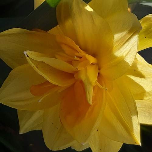 Photo #8891673