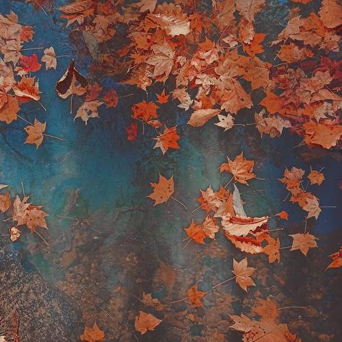 Photo #8891752