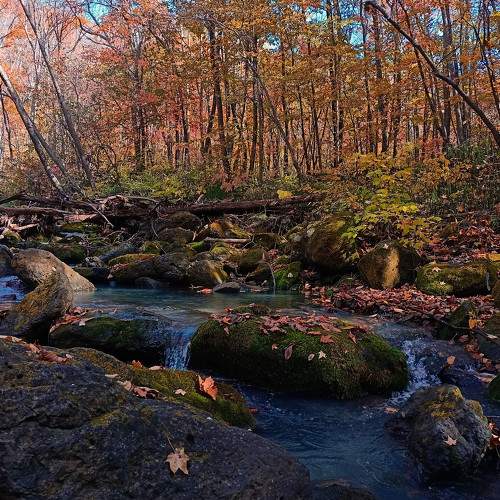 Photo #8891755